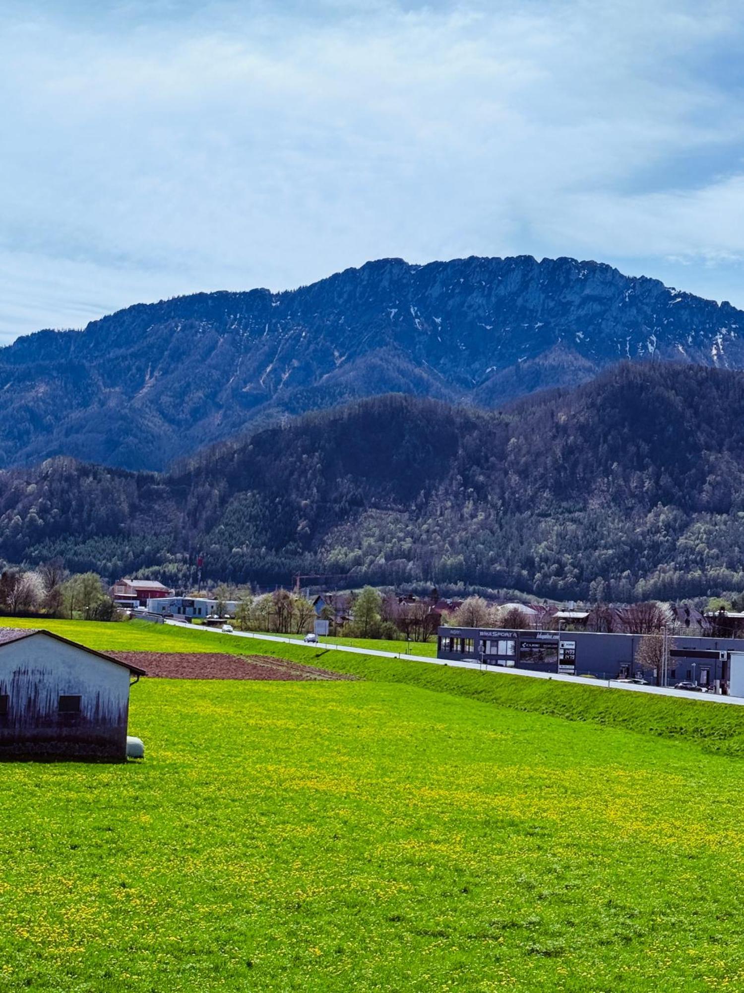 Zentrale Wohnung Mit Alpenblick Micheldorf in Oberösterreich エクステリア 写真